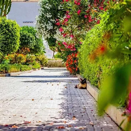 Dos Terrazas Daire Torrevieja