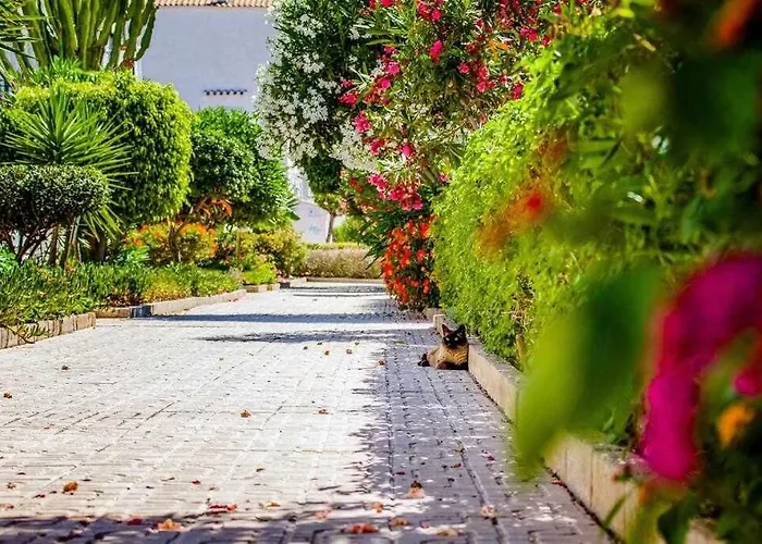 Dos Terrazas Daire Torrevieja